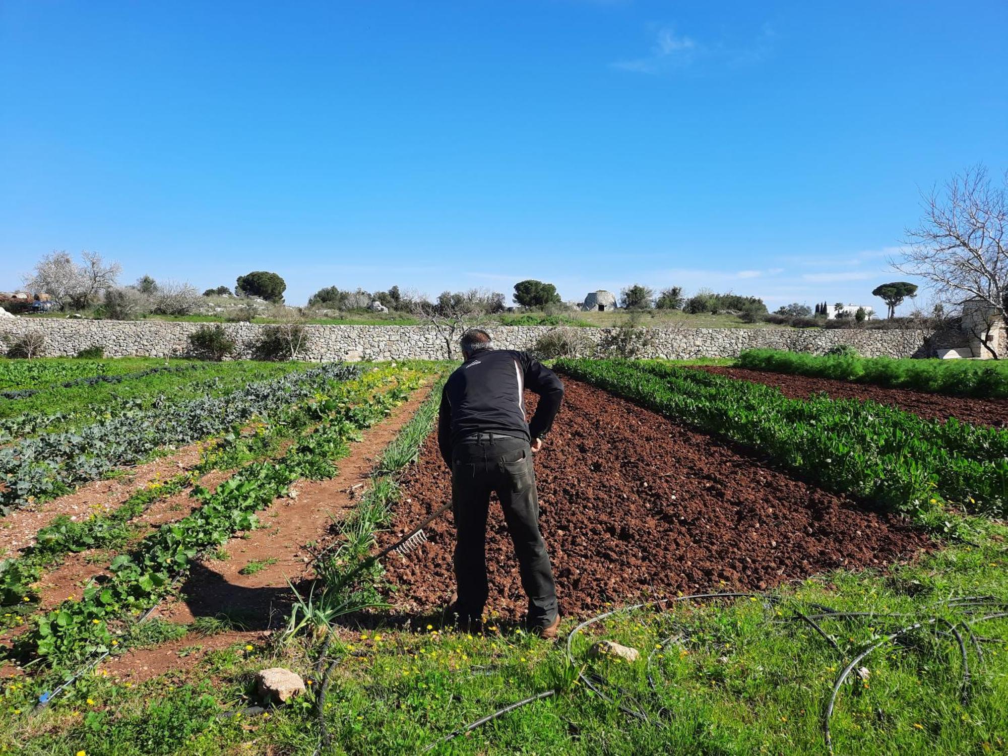 Masseria San Cosimo Carpignano Salentino Εξωτερικό φωτογραφία